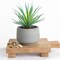 Farmhouse Artificial Plant | Fake Plant | Artificial Succulent in Pot | Fake Succulent | Faux Plant Indoor | Faux Succulent in Pot for Desk Decor